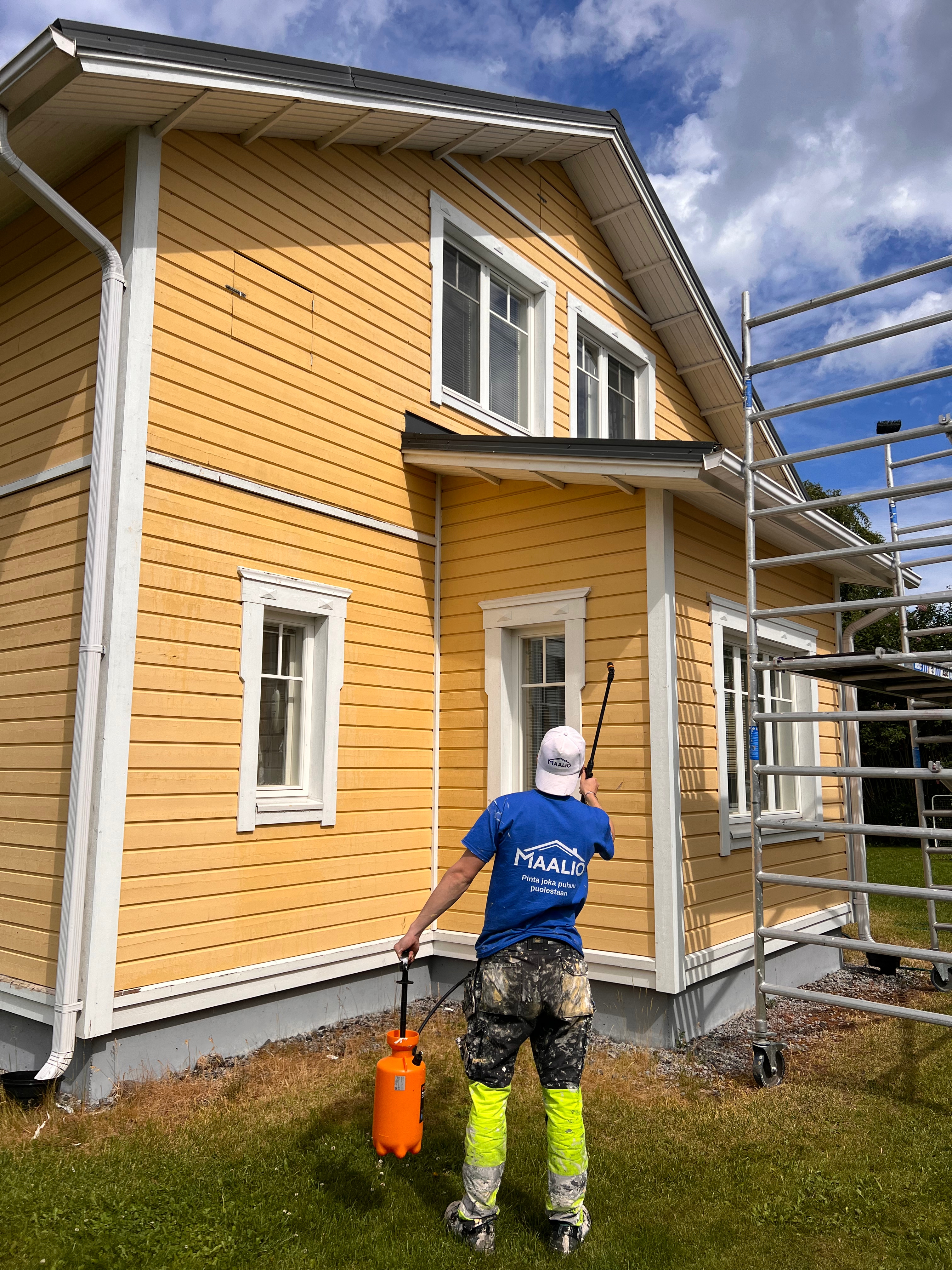 Homepesuaineen levitys